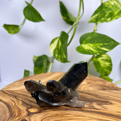 Rauchquarz Spitze (#2)