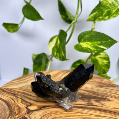 Rauchquarz Spitze (#2)