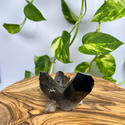 Rauchquarz Spitze (#2)