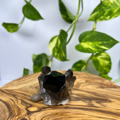 Rauchquarz Spitze (#2)