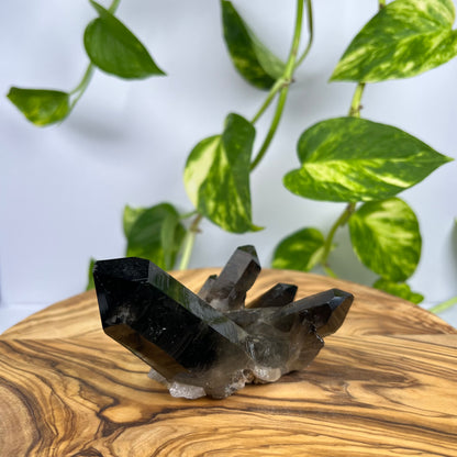 Rauchquarz Spitze (#2)