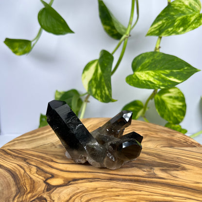 Rauchquarz Spitze (#2)