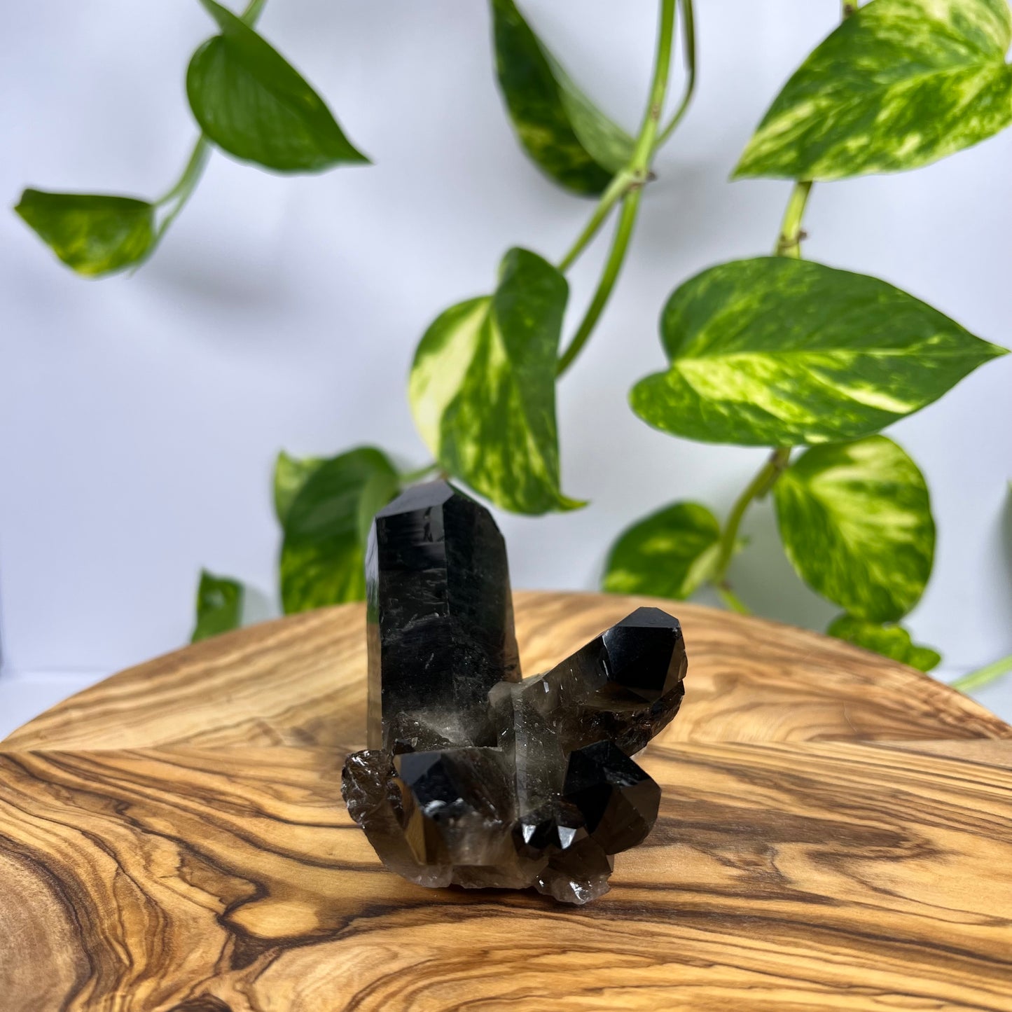 Rauchquarz Spitze (#2)