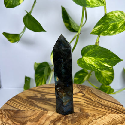 Labradorit Turm (#13)