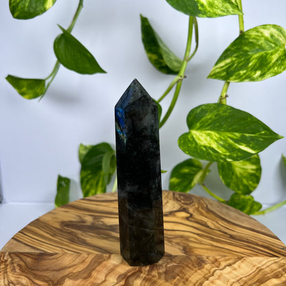 Labradorit Turm (#12)