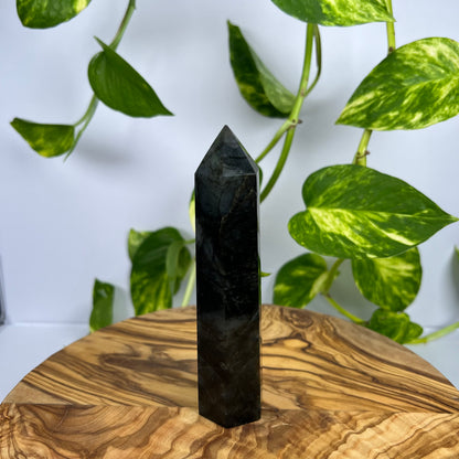 Labradorit Turm (#12)