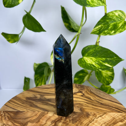 Labradorit Turm (#12)