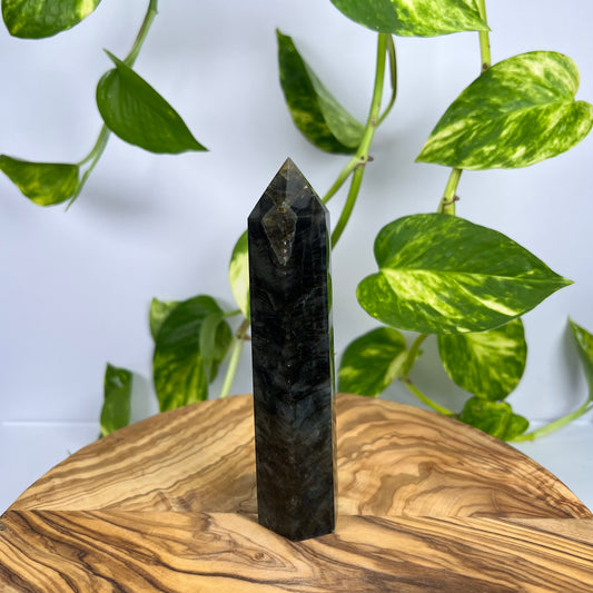 Labradorit Turm (#11)