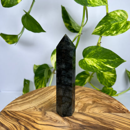 Labradorit Turm (#11)