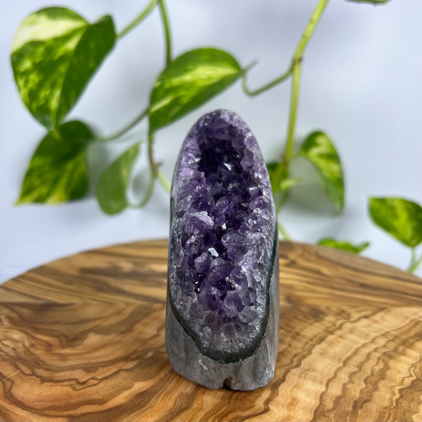 Amethyst Druse (#1)