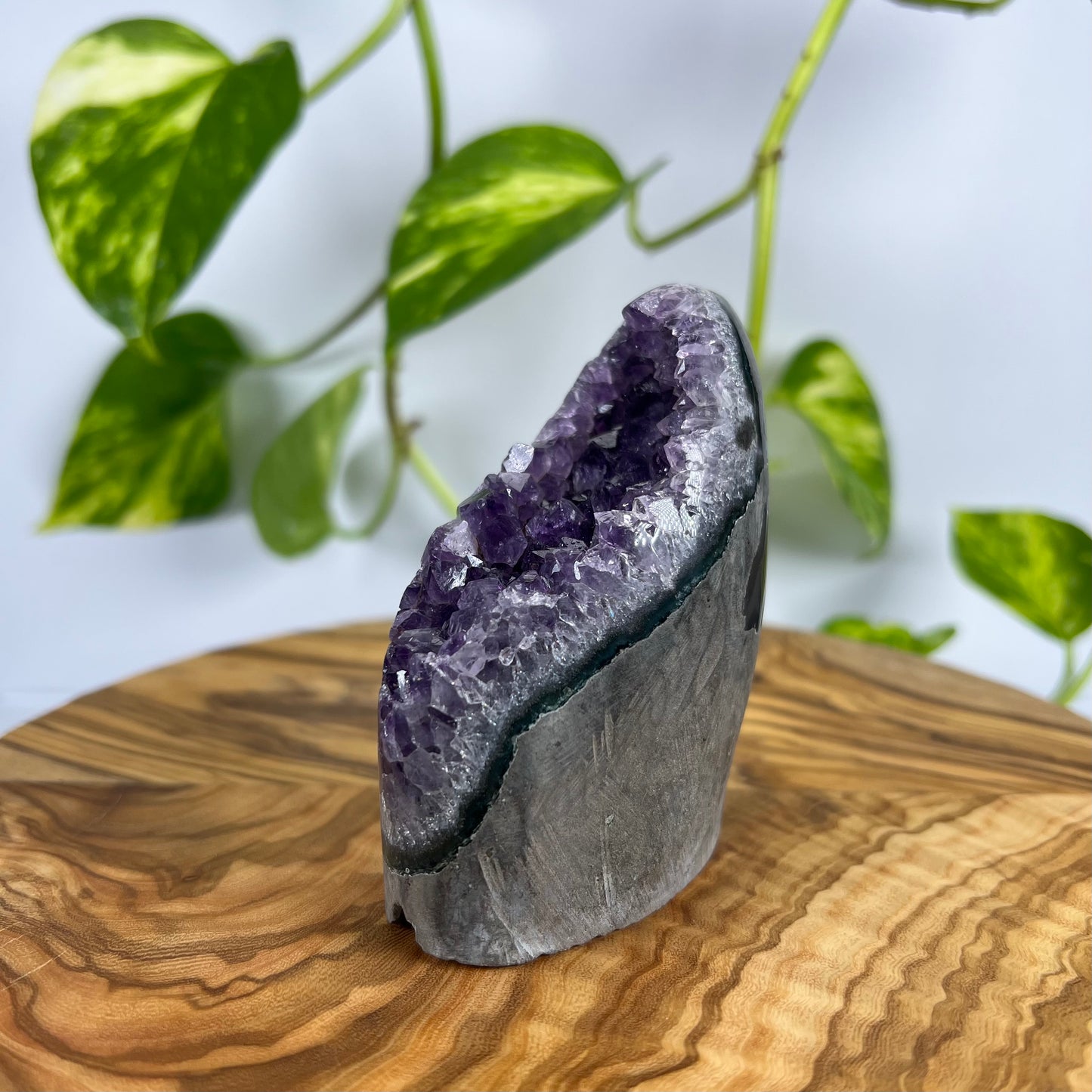 Amethyst Druse (#1)