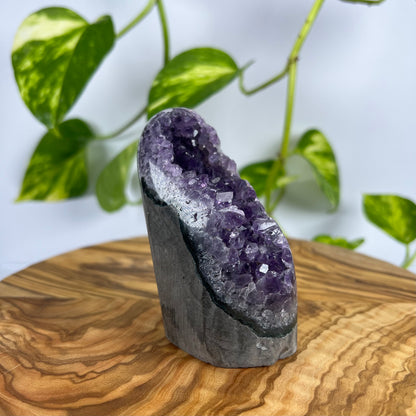 Amethyst Druse (#1)