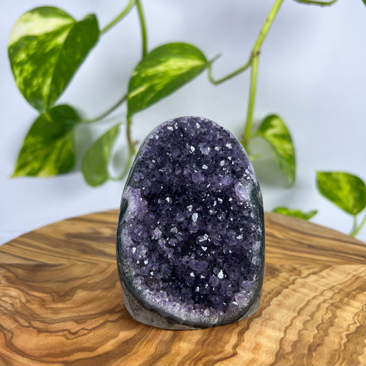 Amethyst Druse (#2)