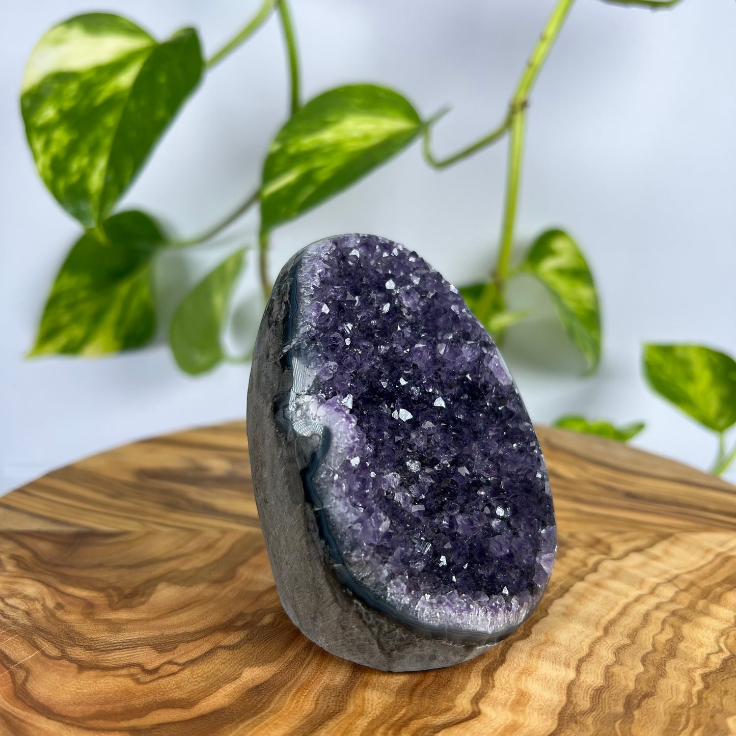Amethyst Druse (#2)