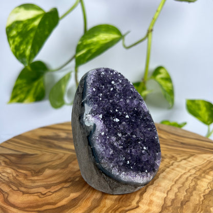Amethyst Druse (#2)