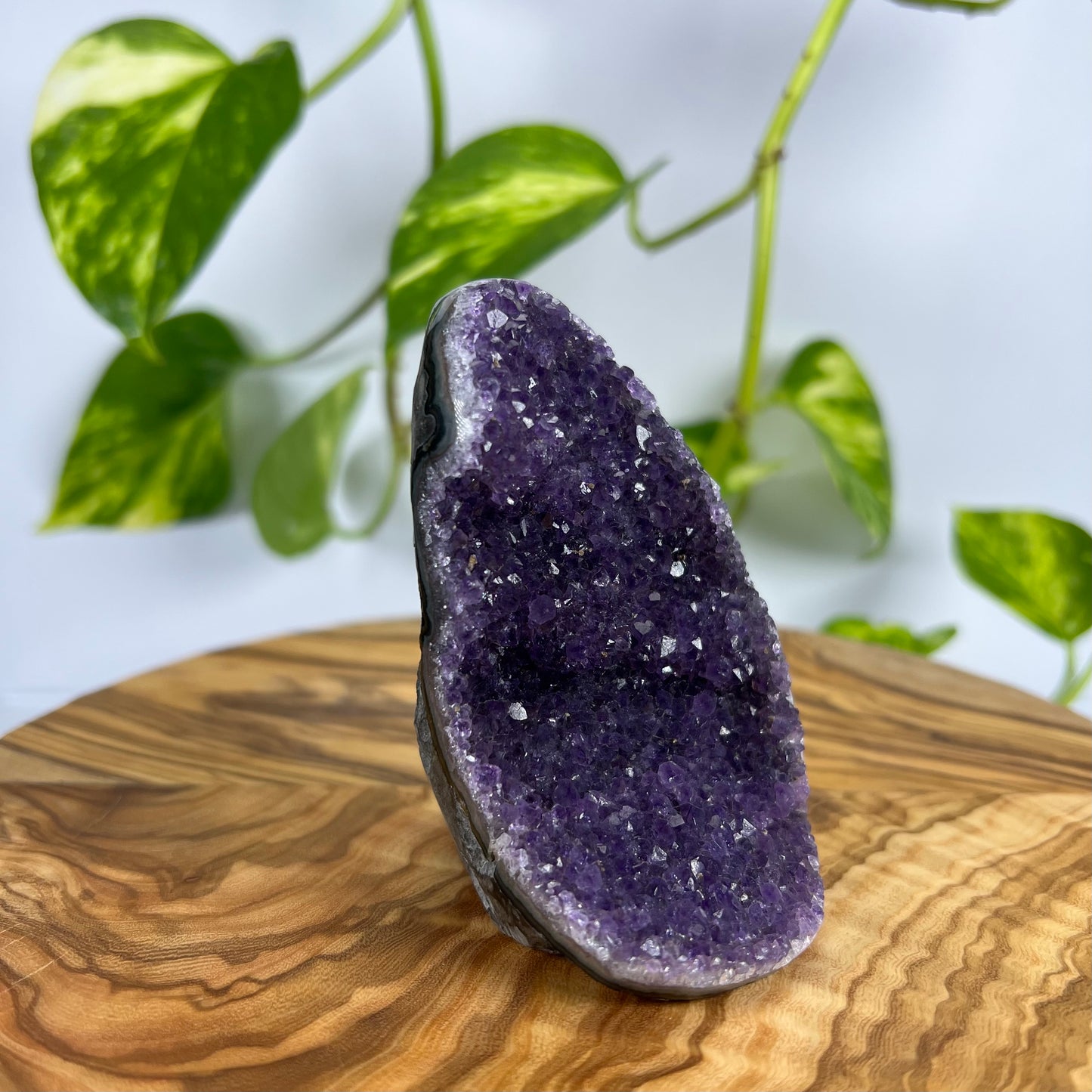 Amethyst Druse (#3)