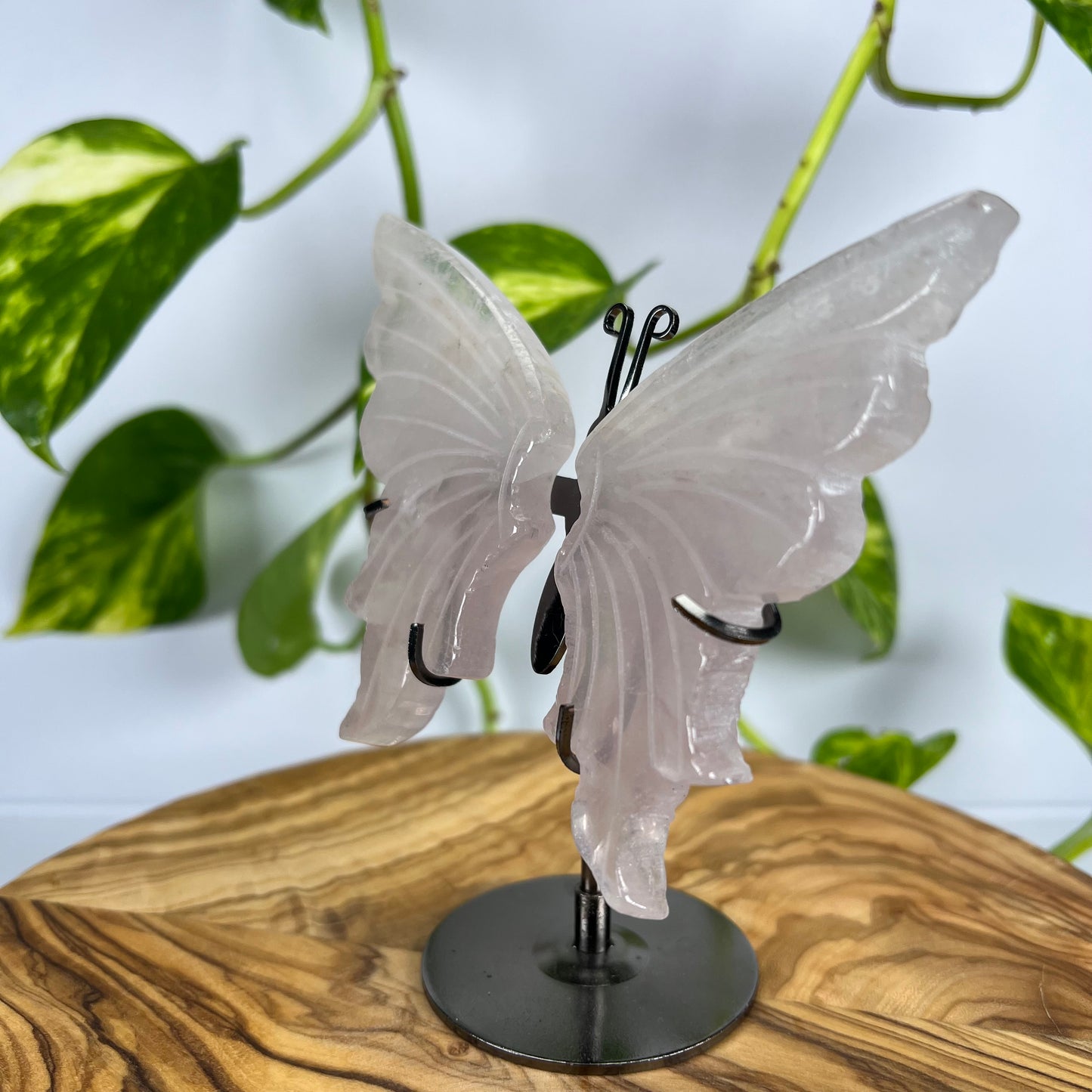 Rosenquarz Schmetterling (#1)