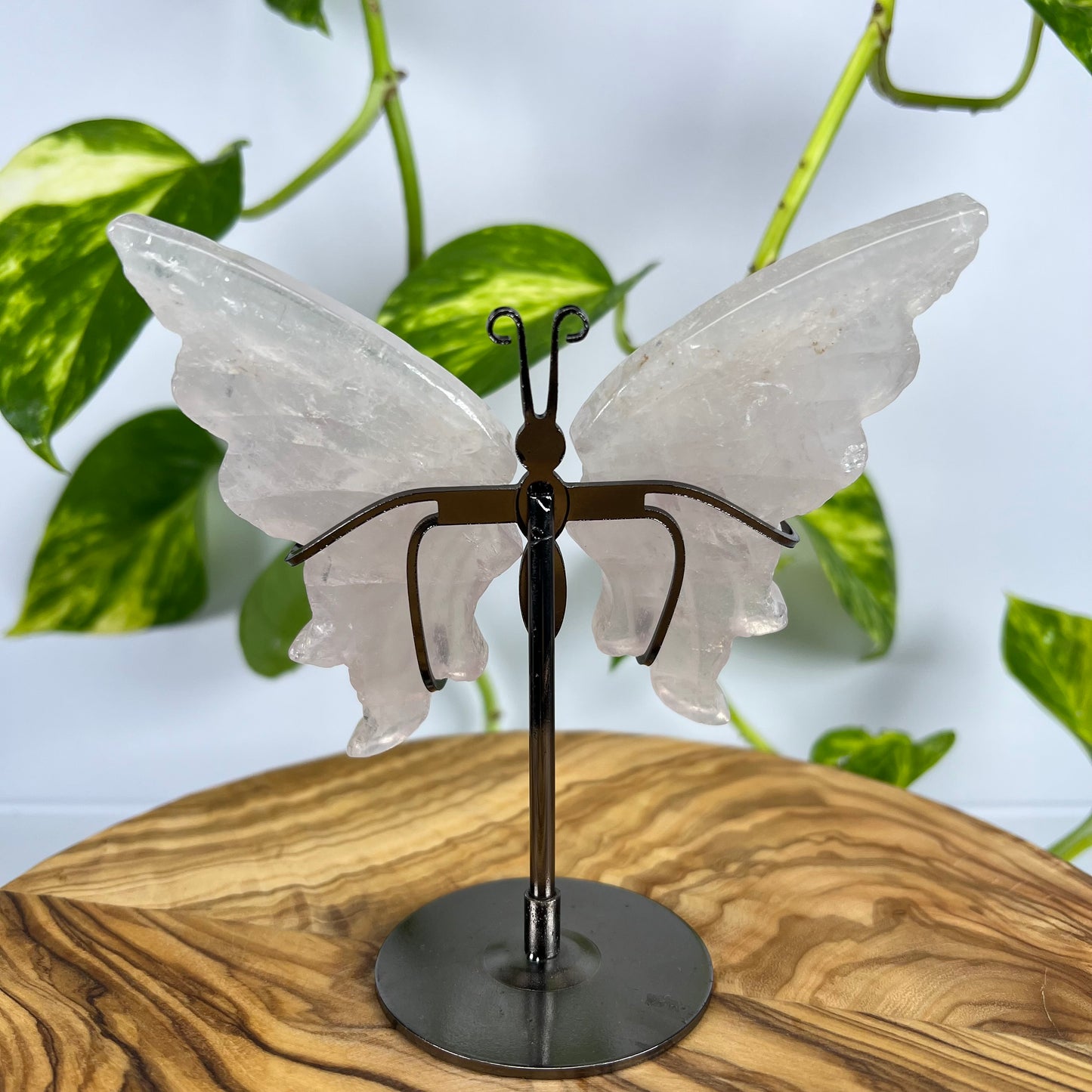 Rosenquarz Schmetterling (#1)