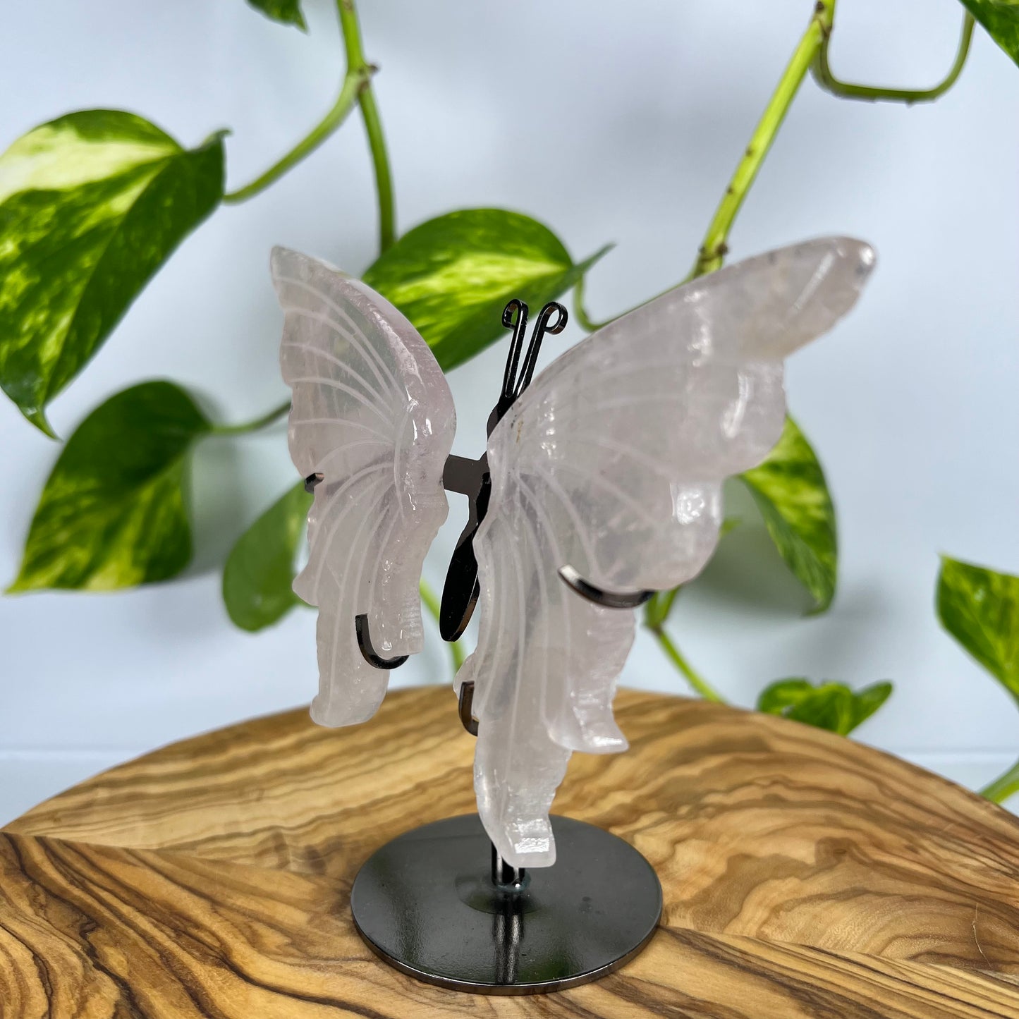 Rosenquarz Schmetterling (#2)