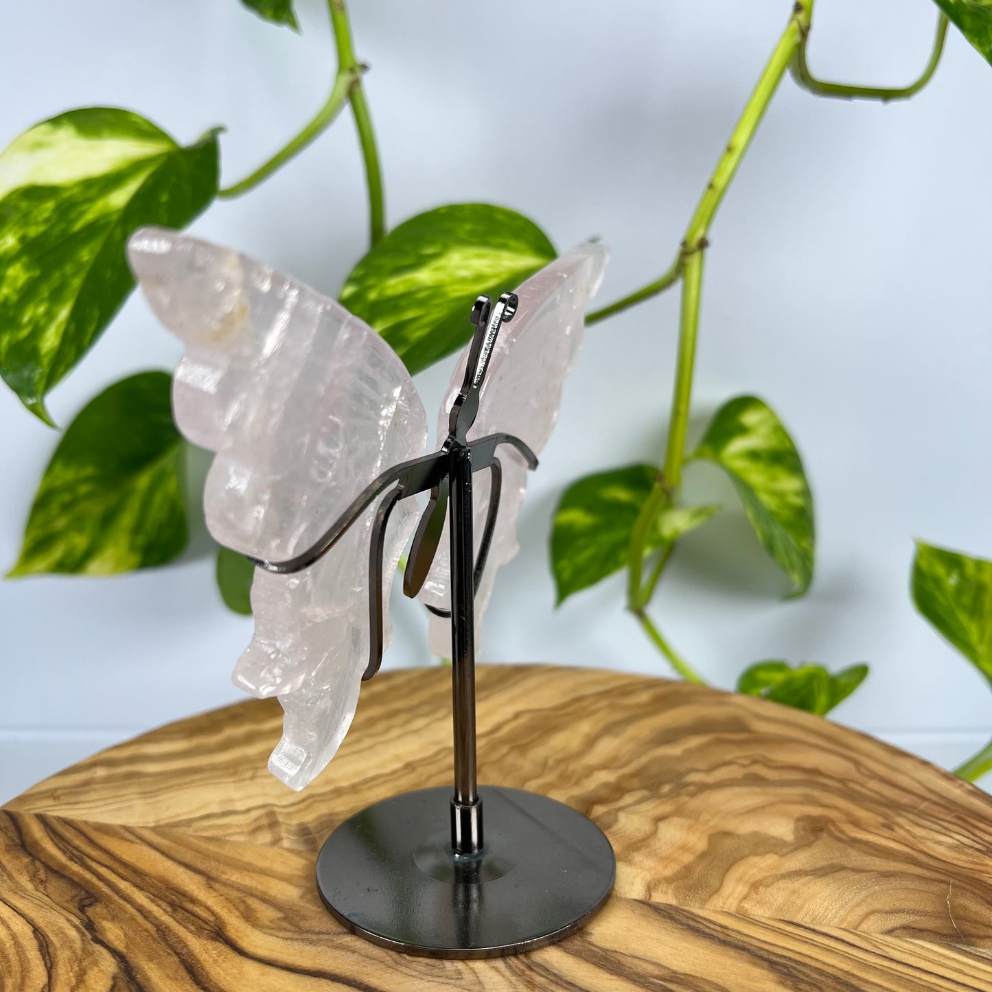 Rosenquarz Schmetterling (#2)