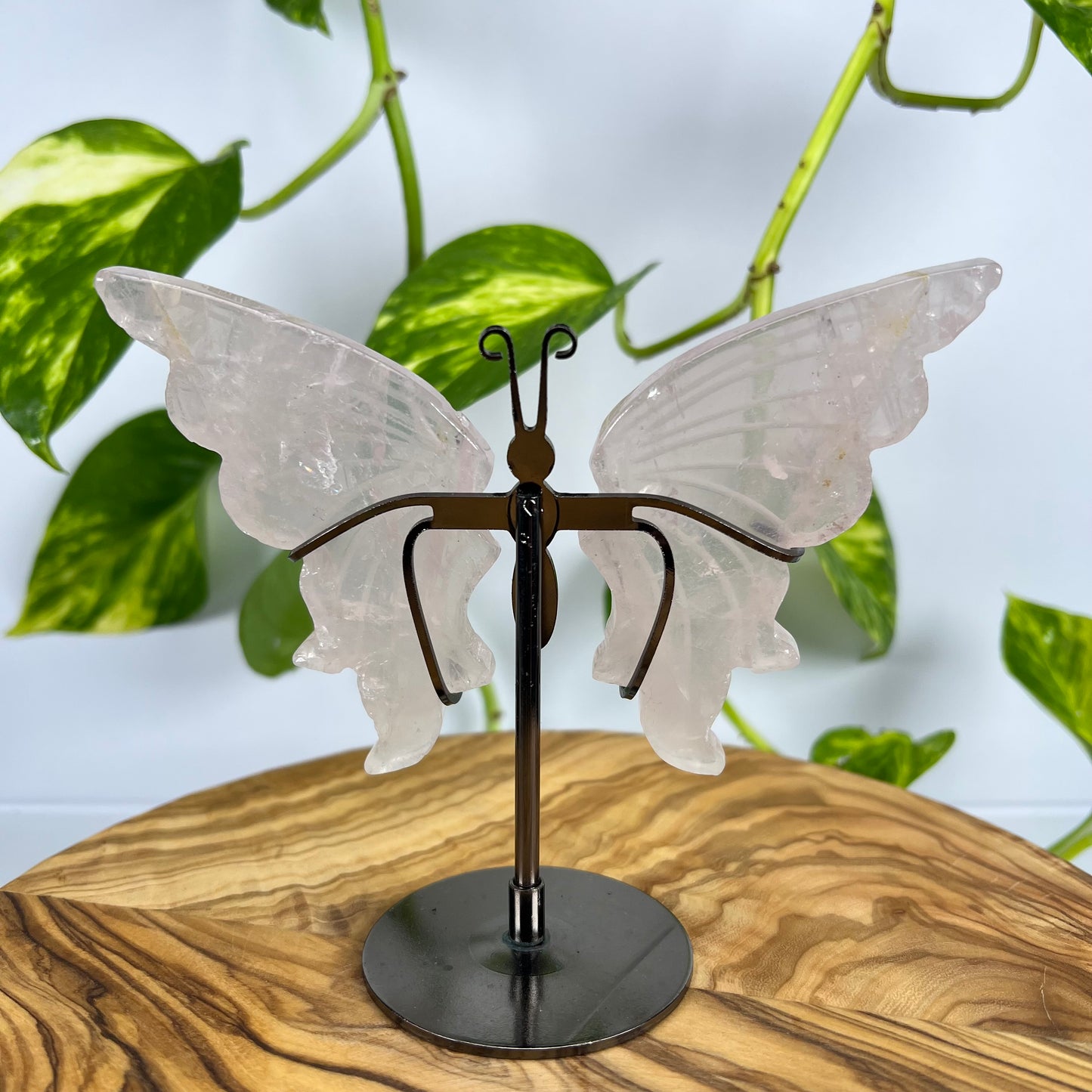 Rosenquarz Schmetterling (#2)