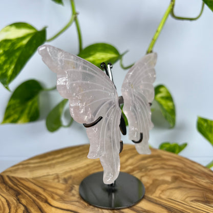 Rosenquarz Schmetterling (#2)