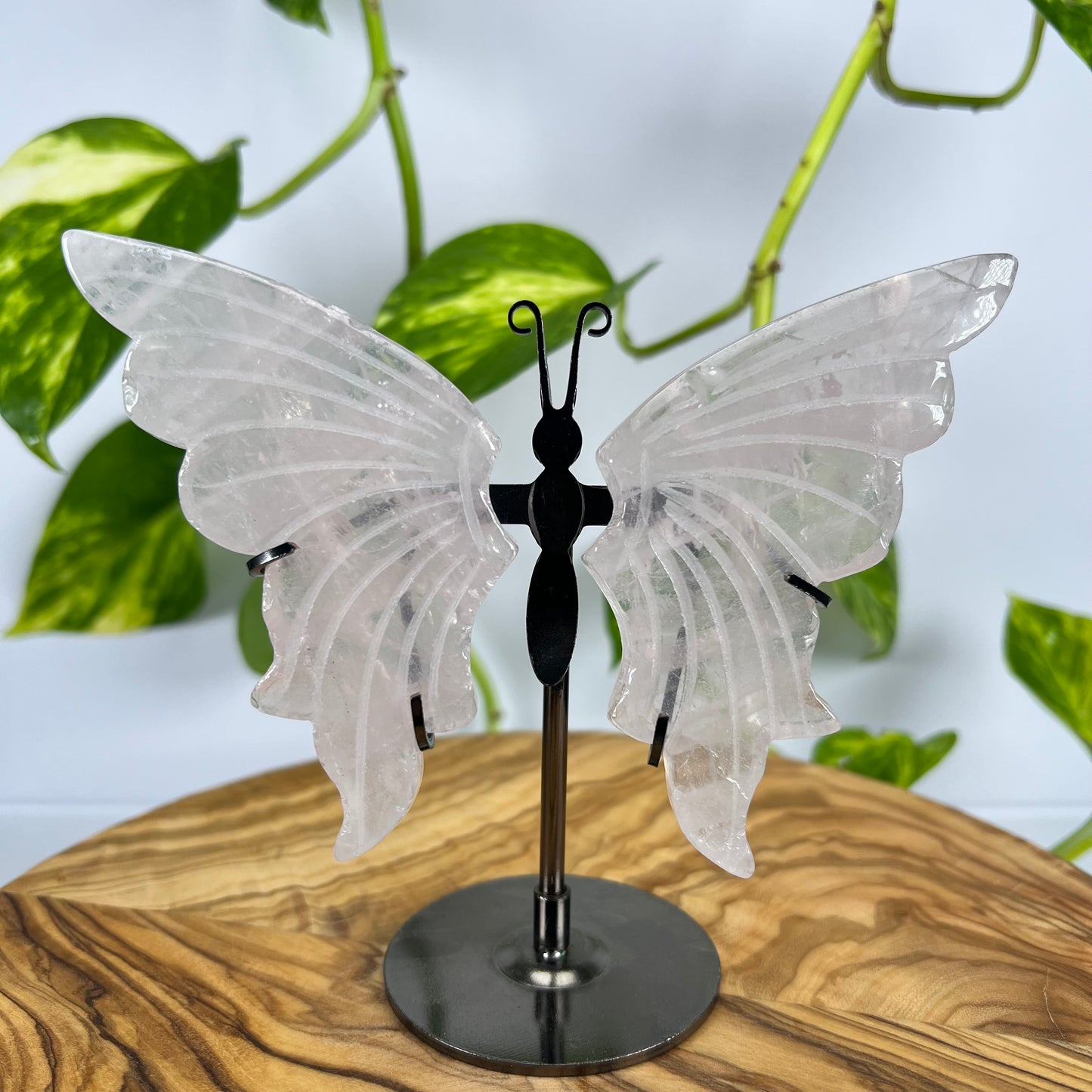 Rosenquarz Schmetterling (#3)