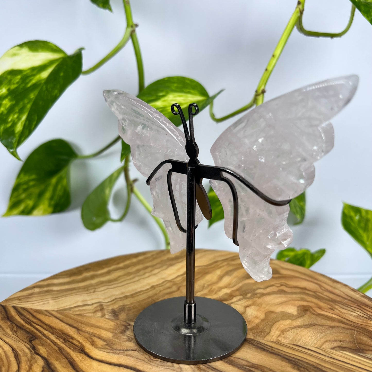 Rosenquarz Schmetterling (#3)