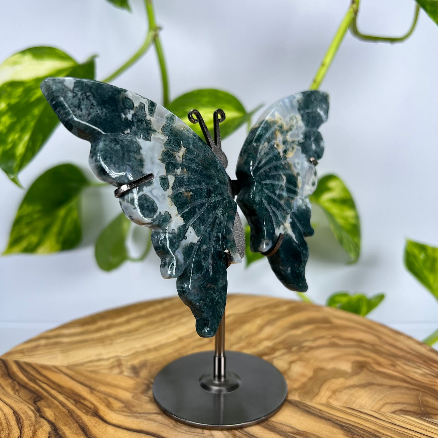 Moos-Achat Schmetterling (#2)