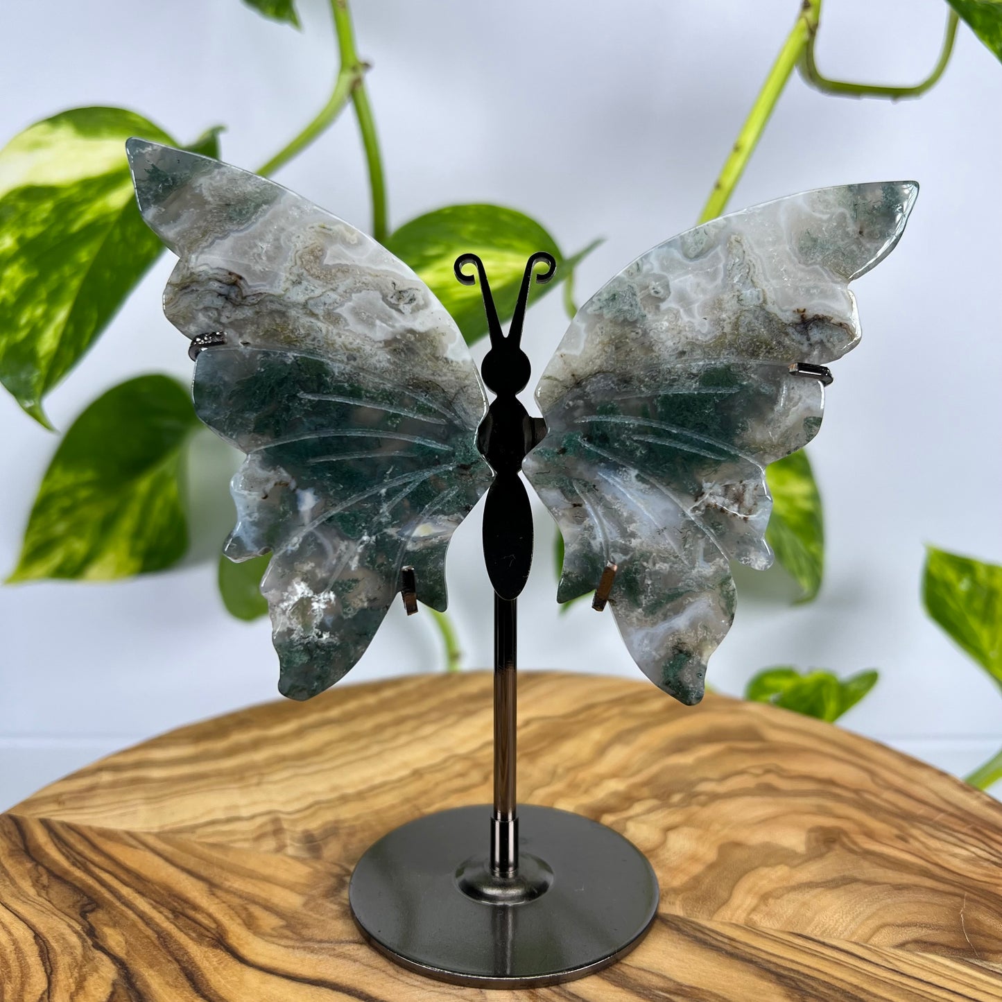 Moos-Achat Schmetterling (#4)