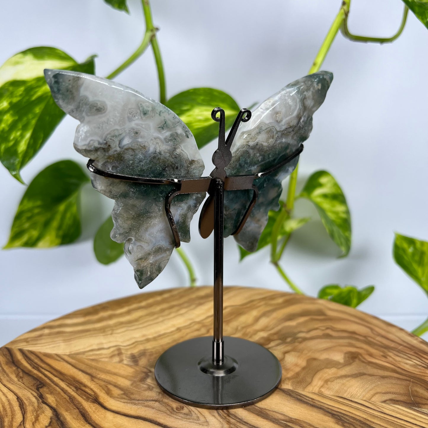 Moos-Achat Schmetterling (#4)