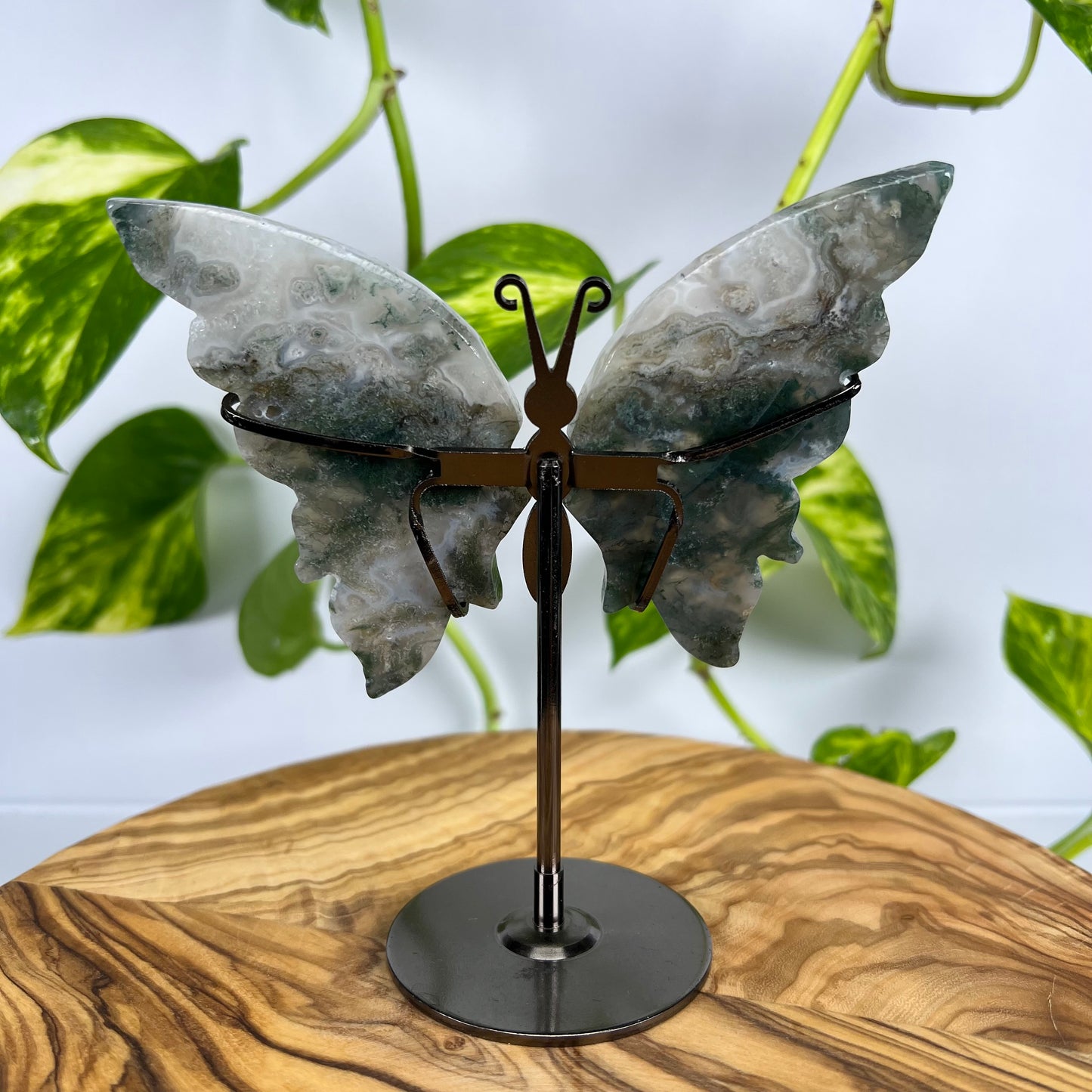 Moos-Achat Schmetterling (#4)