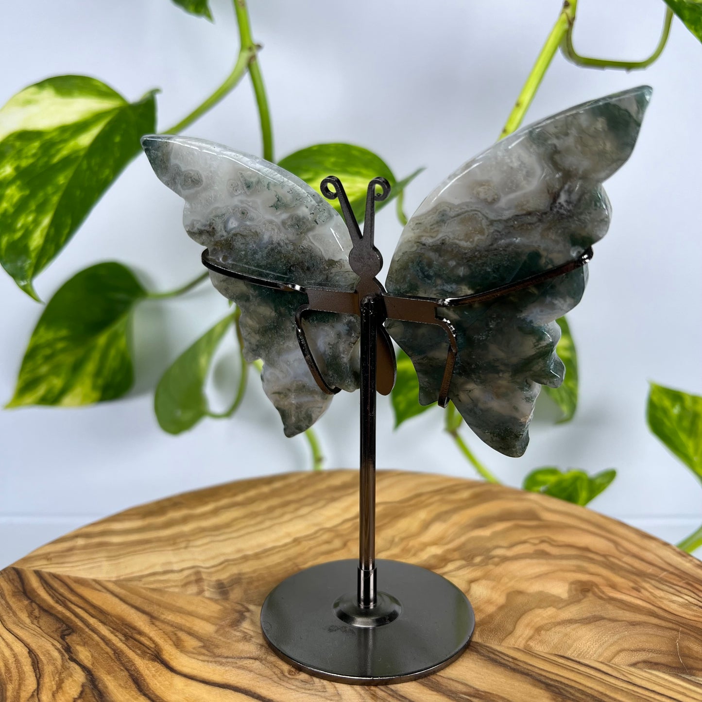 Moos-Achat Schmetterling (#4)