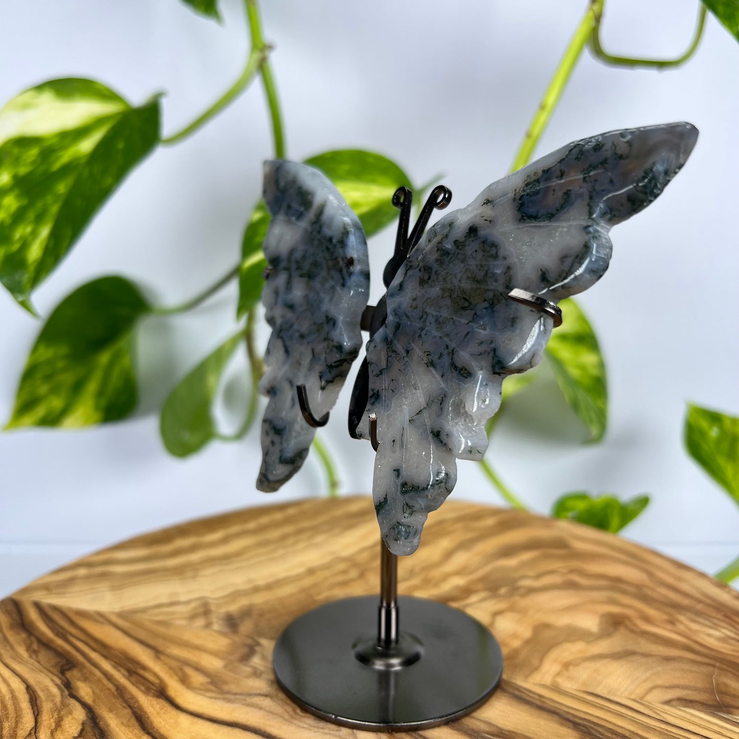 Moos-Achat Schmetterling (#5)