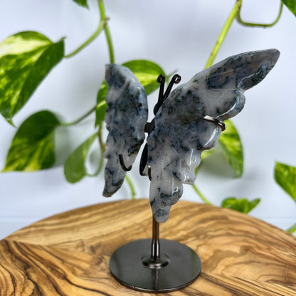 Moos-Achat Schmetterling (#5)