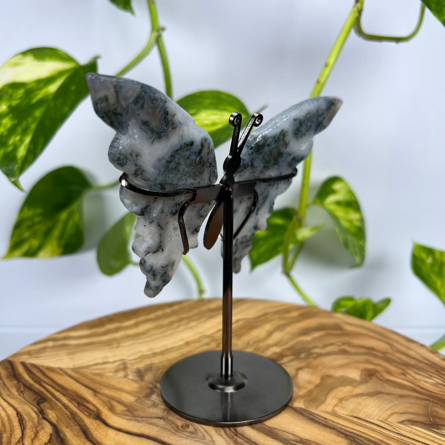 Moos-Achat Schmetterling (#5)