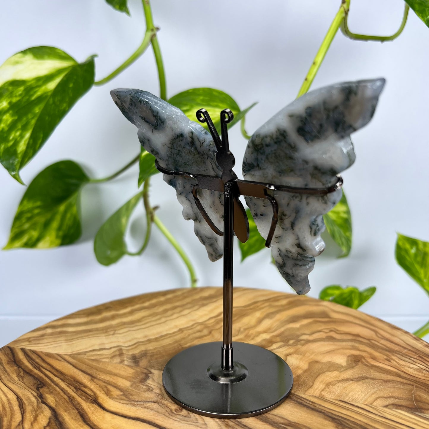 Moos-Achat Schmetterling (#5)