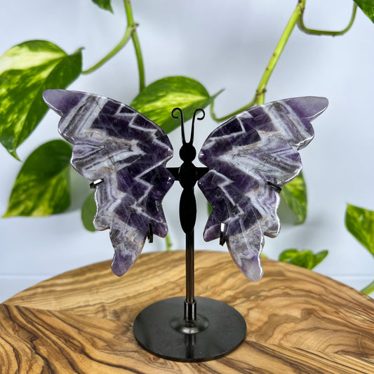 Amethyst Schmetterling (#1)