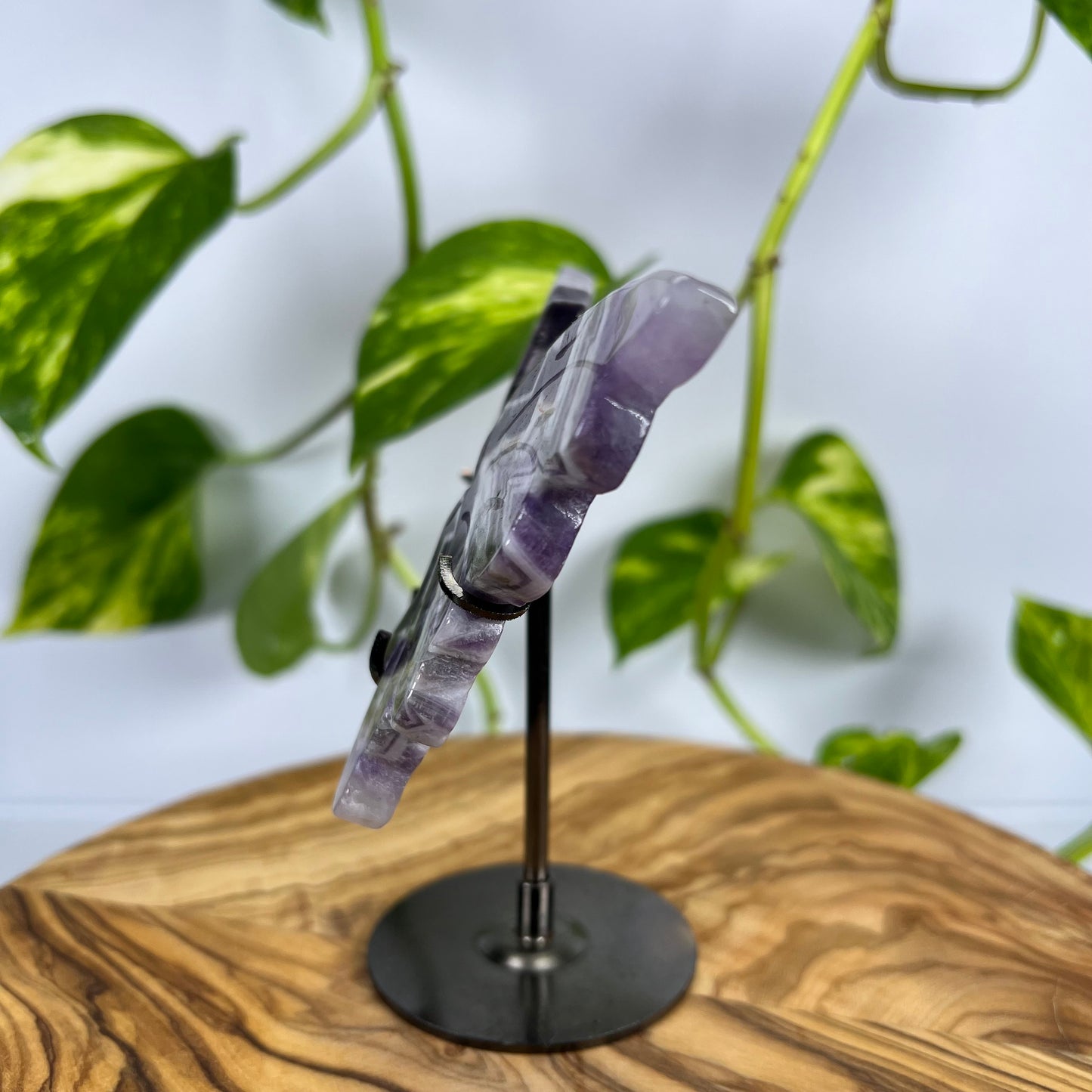 Amethyst Schmetterling (#1)