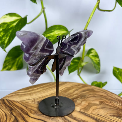 Amethyst Schmetterling (#1)