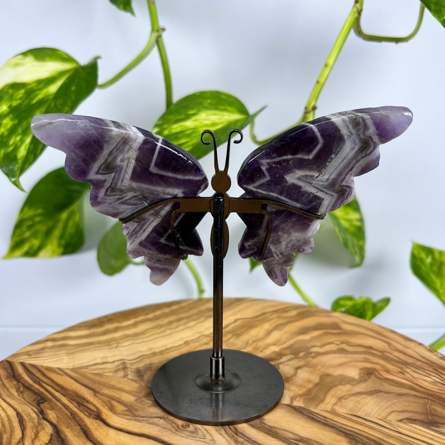 Amethyst Schmetterling (#1)