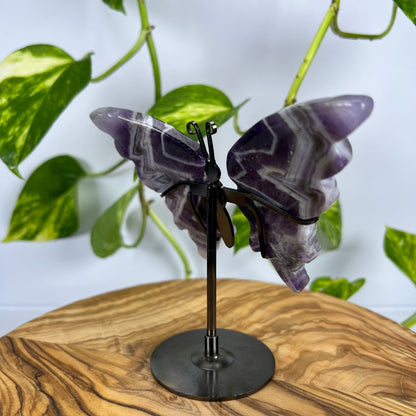 Amethyst Schmetterling (#1)