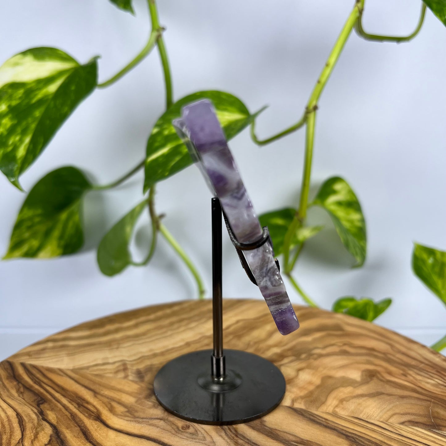 Amethyst Schmetterling (#1)