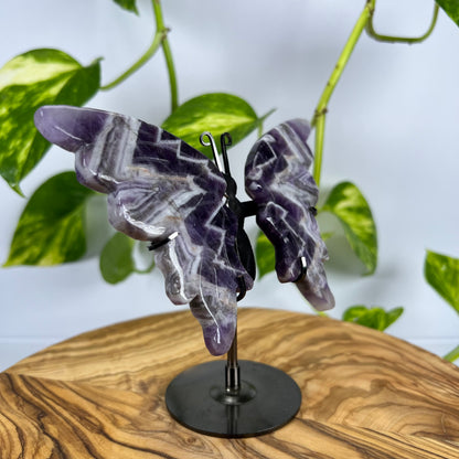 Amethyst Schmetterling (#1)