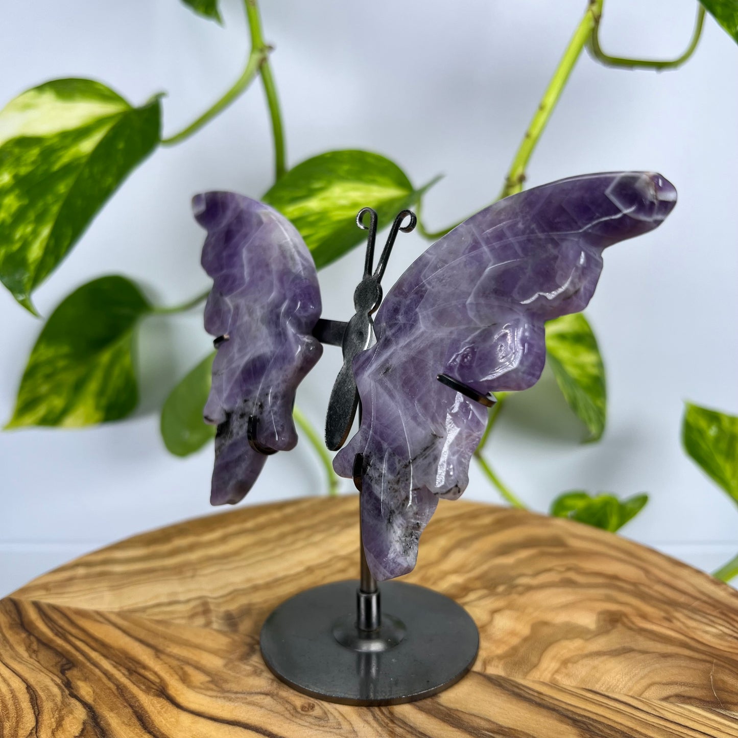 Amethyst Schmetterling (#2)