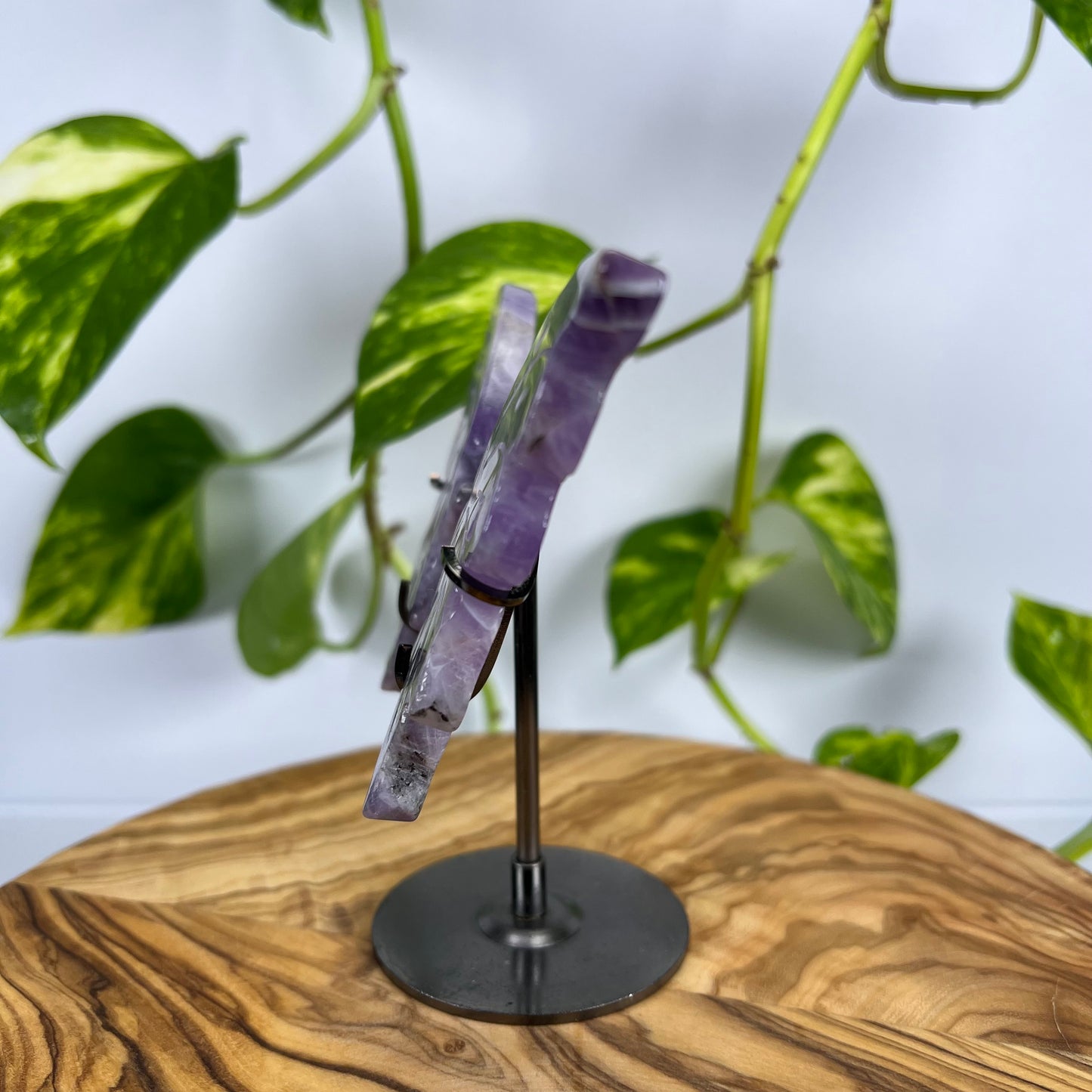 Amethyst Schmetterling (#2)