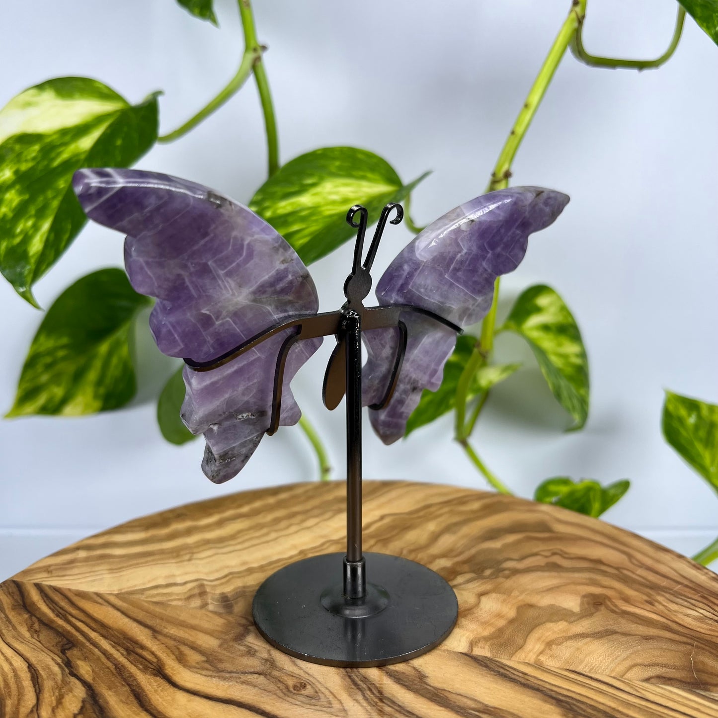 Amethyst Schmetterling (#2)