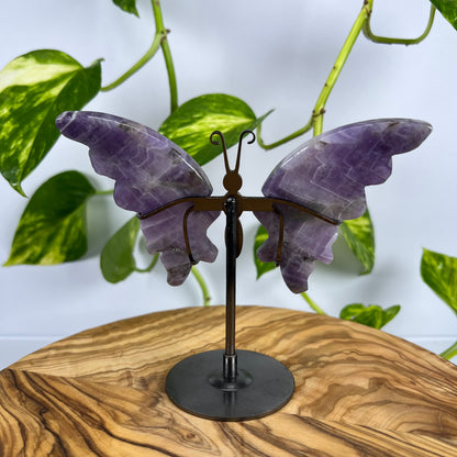 Amethyst Schmetterling (#2)