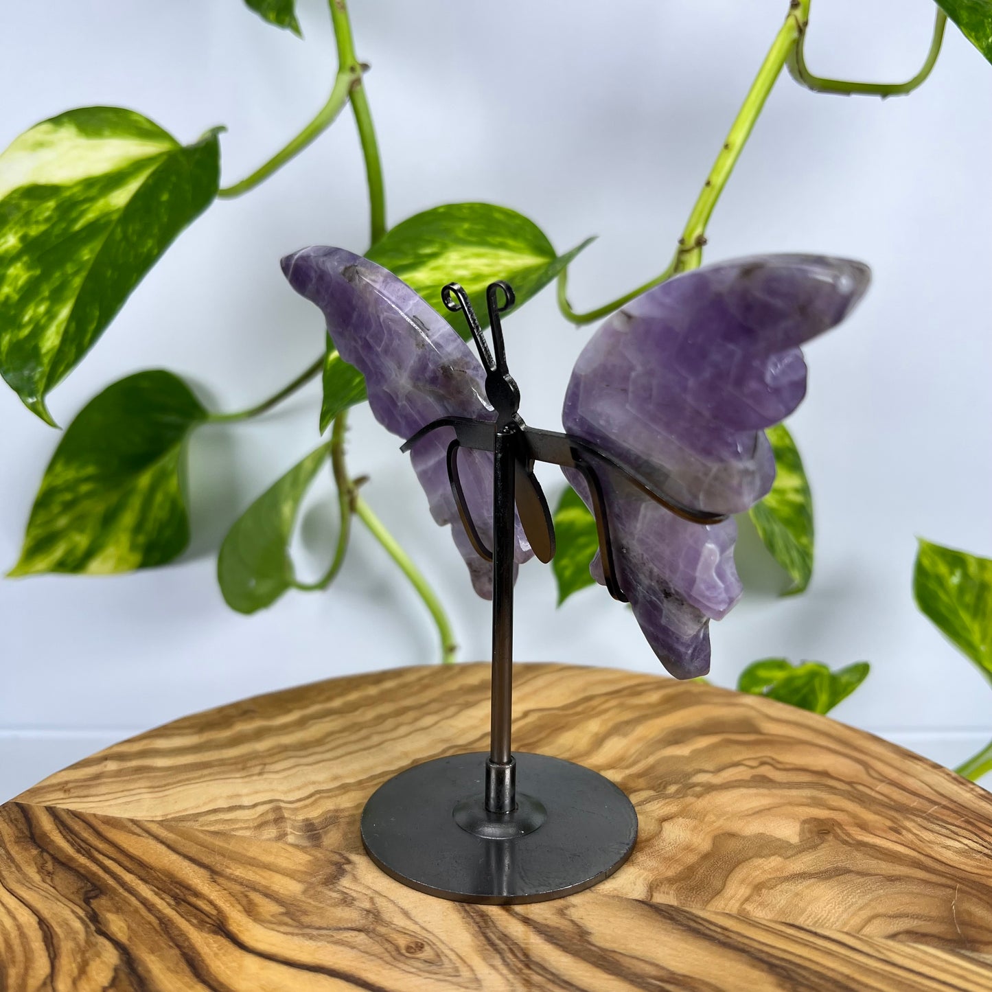 Amethyst Schmetterling (#2)