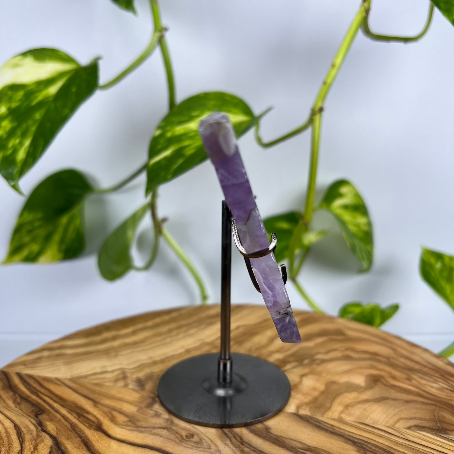 Amethyst Schmetterling (#2)